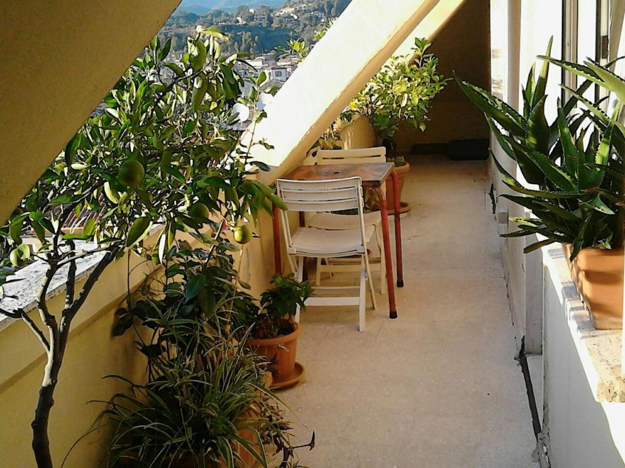 A Casa Di Lola Bed & Breakfast Ascoli Piceno Exterior foto