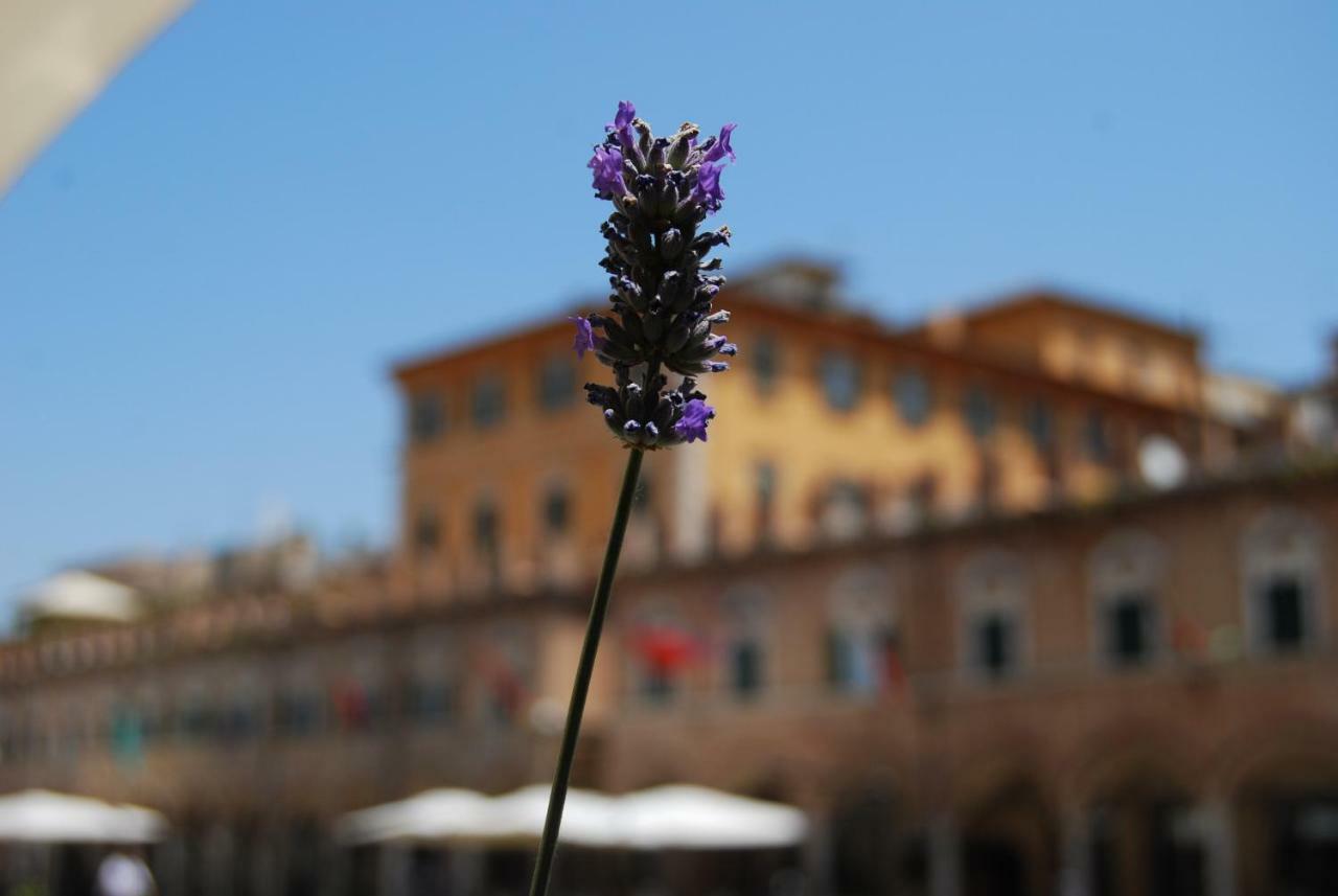 A Casa Di Lola Bed & Breakfast Ascoli Piceno Exterior foto