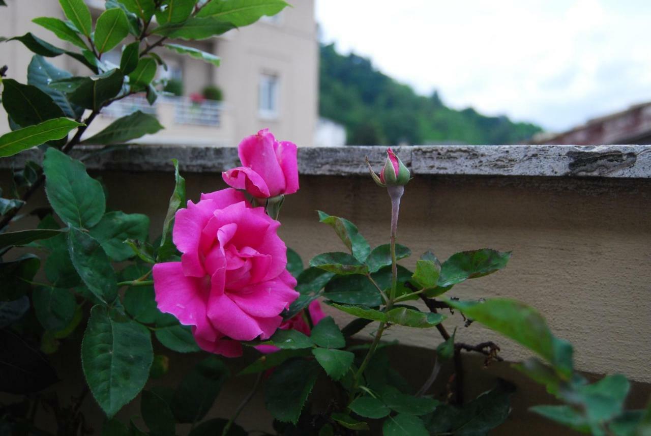 A Casa Di Lola Bed & Breakfast Ascoli Piceno Exterior foto